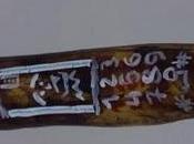 Fotografías para concurso #frutadecorada