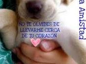 Blog Amistad