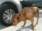 empezado cuenta atrás