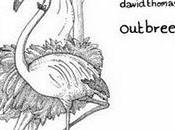 David Thomas Broughton Outbreeding (Brainlove,2011)