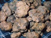 tartufo