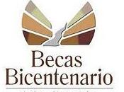 Becas bicentenario Creacion Artistica España 2011