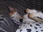 Queda inaugurada temporada casa