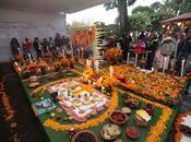 Presentan etnias originarias edoméx ofrenda muertos festival almas