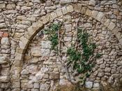 Aferrada pared
