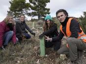 Mustela planta 1.167 árboles, cifra bebés nacidos durante Medio Ambiente