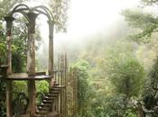 Luis Potosí segundo destino ocupación hotelera país