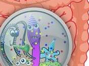 Nutrición: Microbiota intestinal