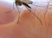 Alerta: DENGUE ESTÁ LIMA PROVINCIAS...