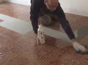 Pegar parquet.