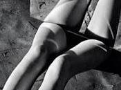 transparente...