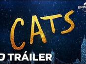 Nuevo tráiler CATS doblado español