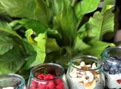 Receta(s): cuatro maneras deliciosas preparar chiapudding