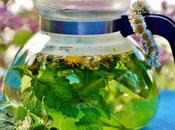 mejores infusiones para tratar distintos problemas digestivos