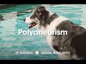 Montreal estrena videoclip para Polyaneurism