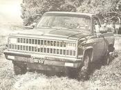 Chevrolet Chevy High Sierra 1500 Cheyenne 1981