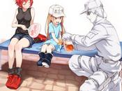 Cells Work contará manga titulado: Lady