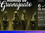 Invitan exposición Momias Guanajuato