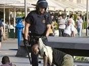 redadas brigadas vecinales DD.HH.