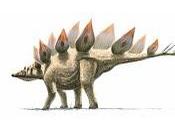 Parathodon