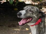 Antonio sigue libre.. buen partido