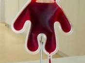 Sobre eficacia fármaco quieren combatir coli