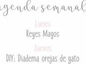 Agenda Semanal 6/01 12/01