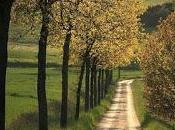 4.061 camino largo...