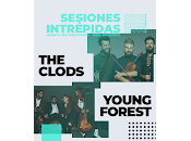 Clods Band Young Forest NavelArt