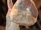 Mejor Jamón