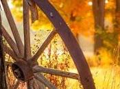 4.069 dijiste adiós...