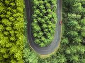 Hyundai inicia producción Nuevo planta İzmit, Turquía