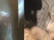 están solos, gente ayuda.