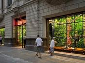 Ambientación vertical natural