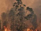 Incendios Australia: esto también afecta nosotros.