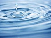 amor siempre tiene consecuencias