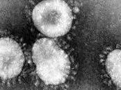 Coronavirus: ¿qué está moda’?