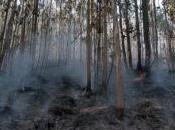 contado sobre incendios Australia