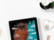 Reseña: Pequeñas grandes cosas Jodi Picoult