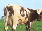 Pink Floyd. “Atom Heart Mother”