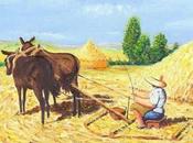 Tradiciones Agricultura Toledana: Trilla