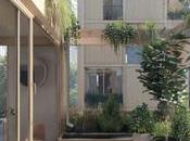 serán viviendas diez años