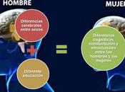 ¿Hay diferencias entre cerebro femenino masculino?