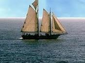 493.- "Cuando navegante comienza viaje, prepara barco, estudia ruta, planea itinerario zarpa...