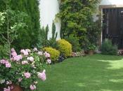 Jardín casa