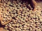 lentejas menos bollería industrial ayudan perder peso