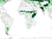 crees asistimos Enverdecimiento Global?