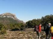 Exploraciones Segura Sierra Orcera