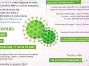 Consignas protección frente enfermedad coronavirus (covid-19). Consideraciones clave para seguridad salud ocupacional