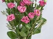 FloraChic, floristería online